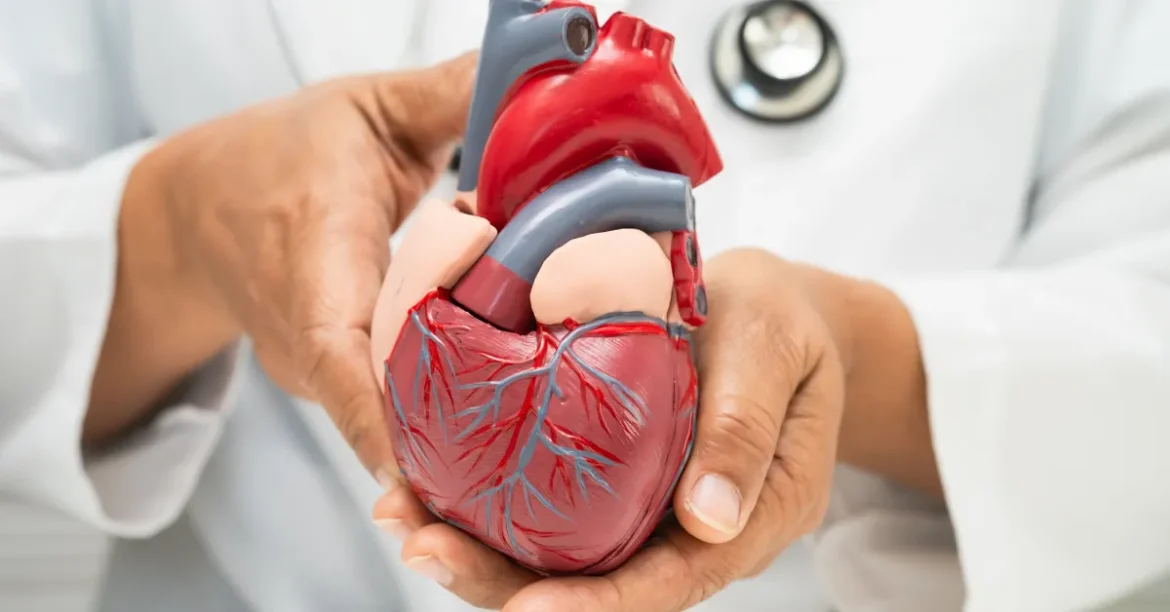 Heart Disease Symptoms: Signs to Notice