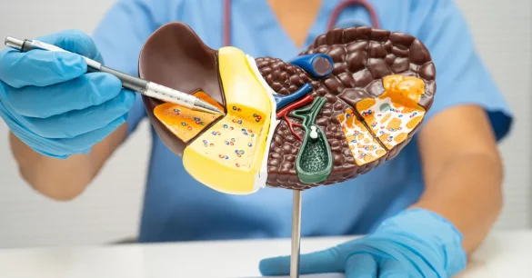 Liver Function Test: What It Shows